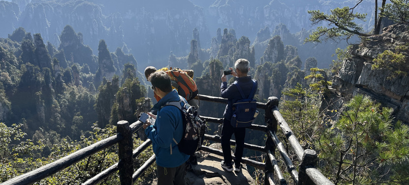 1-Day Mini Group Tour to Zhangjiajie Forest Park and Avatar Mountains