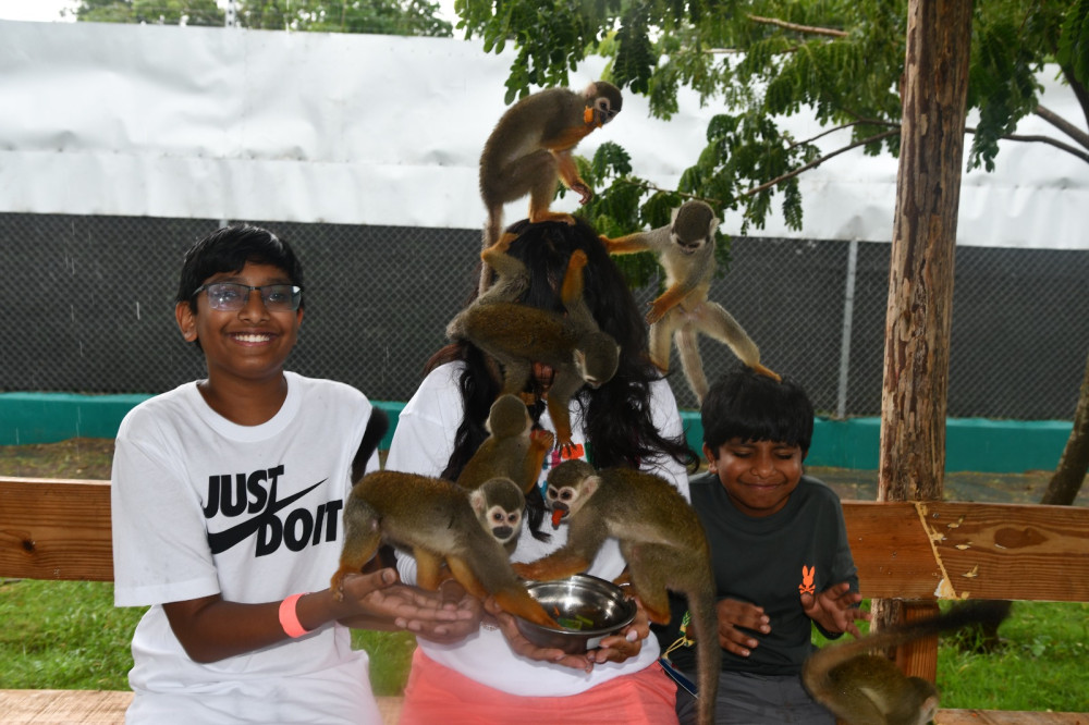 Country World Adventure Park