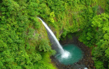 Greenway Nature Tours531
