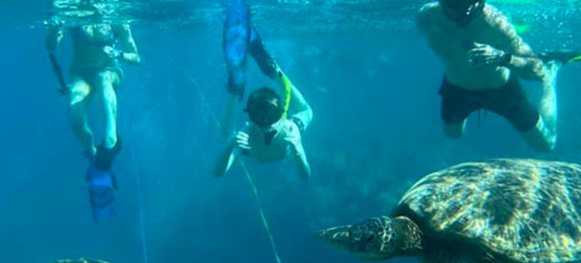 Private Turtle Reef Discovery