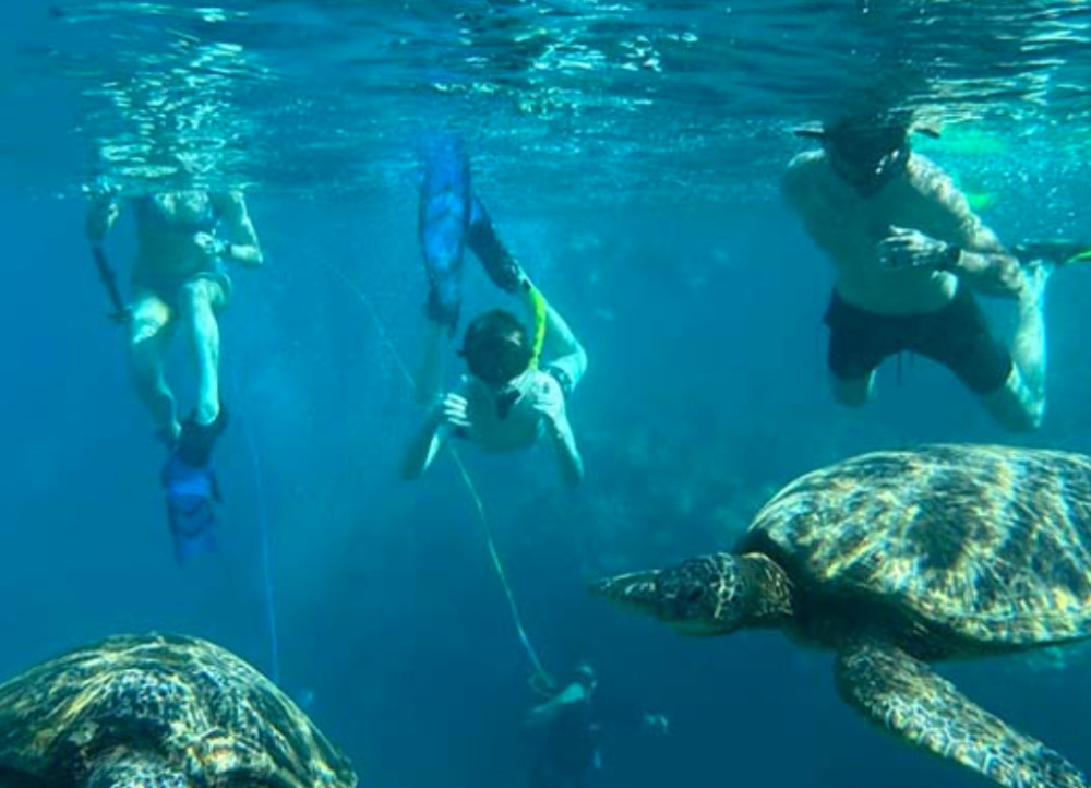 Private Turtle Reef Discovery