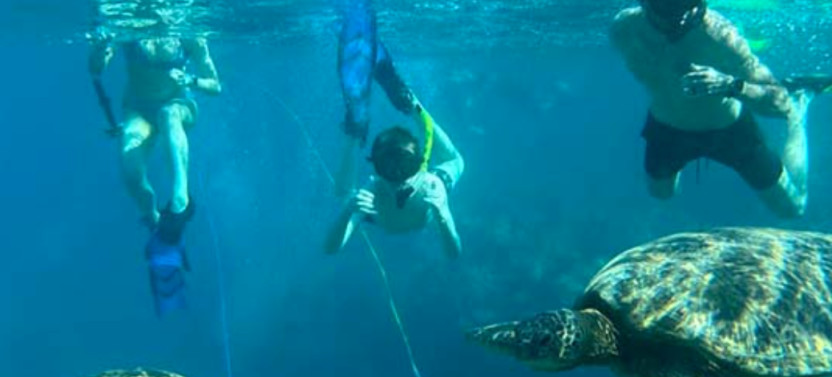 Kayak, Snorkel and Waterfall Hike