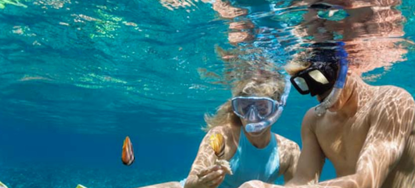 Kayak/Snorkel/Surf - Value Package