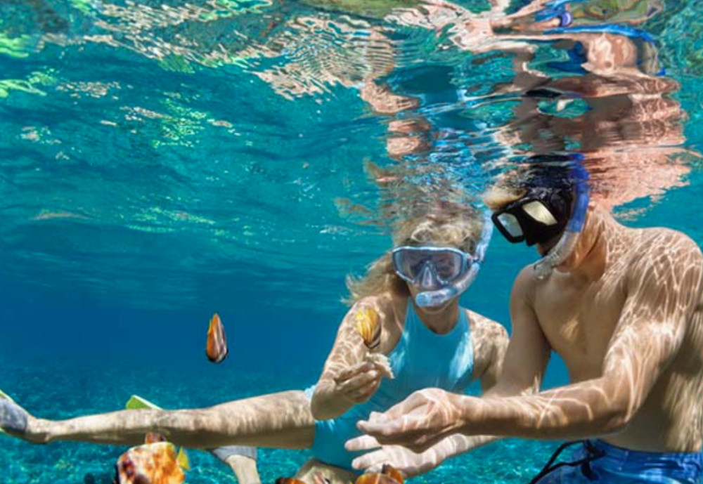 Kayak/Snorkel/Surf - Value Package