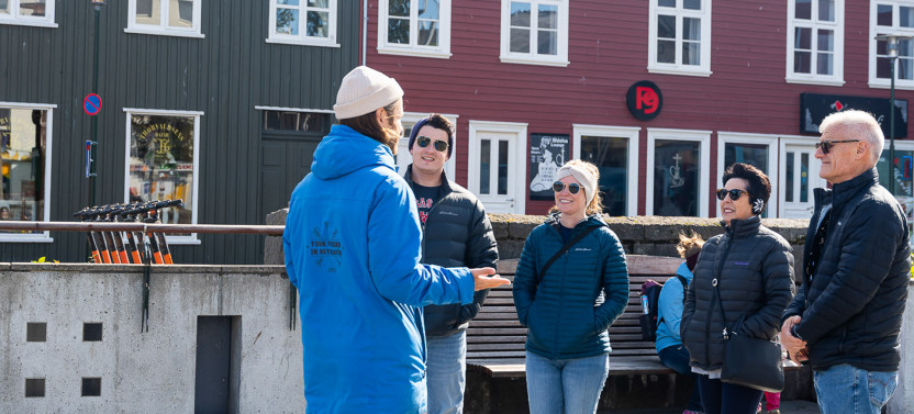 Private Reykjavik Walking Tour - Walk With a Viking