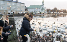 Your Friend in Reykjavik9