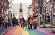 Your Friend in Reykjavik9