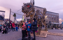 Your Friend in Reykjavik1