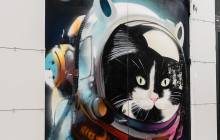 Your Friend in Reykjavik6