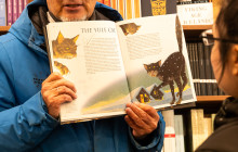 Your Friend in Reykjavik7