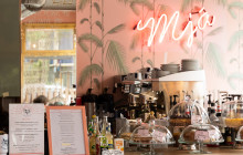 Your Friend in Reykjavik9