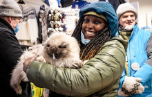 Your Friend in Reykjavik11