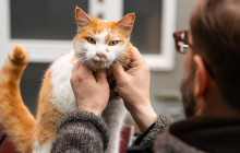 Your Friend in Reykjavik13