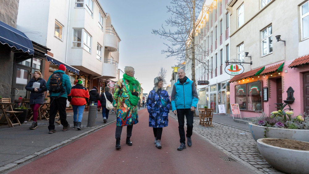 Private Reykjavik Shopping & Sightseeing Walking Tour