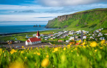 Your Friend in Reykjavik7