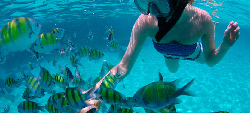 Punta Cana Private Catamaran Charter for Up to 40 Guests – Large Group