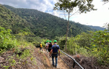 Rainforest Adventures St Lucia3