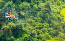 Rainforest Adventures St Lucia9