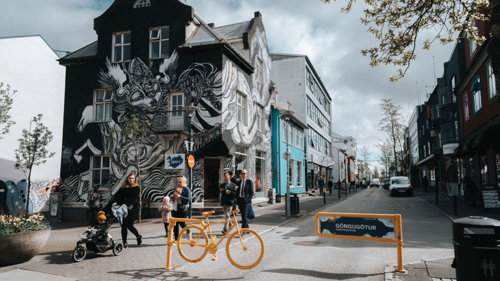 Private Reykjavik Street Art & Photo Friendly Walking Tour