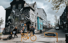 Your Friend in Reykjavik1