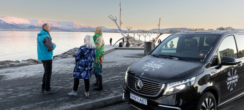 Private 4 Hour Airport / Cruise Transfer & Tour