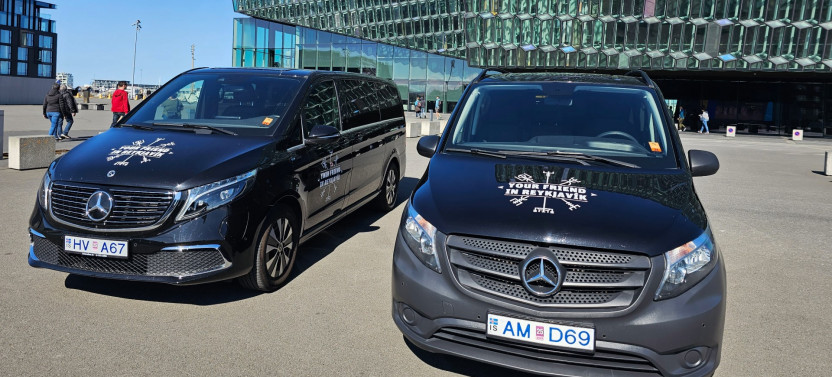 Private 4 Hour Airport / Cruise Transfer & Tour
