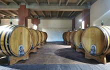 DISCOVER MESSINA SICILY2