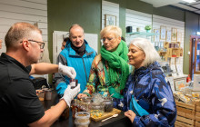 Your Friend in Reykjavik4