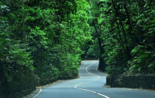 Fun Tours Jamaica3