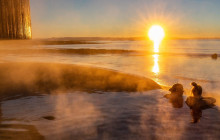 Your Friend in Reykjavik4