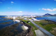 Your Friend in Reykjavik1