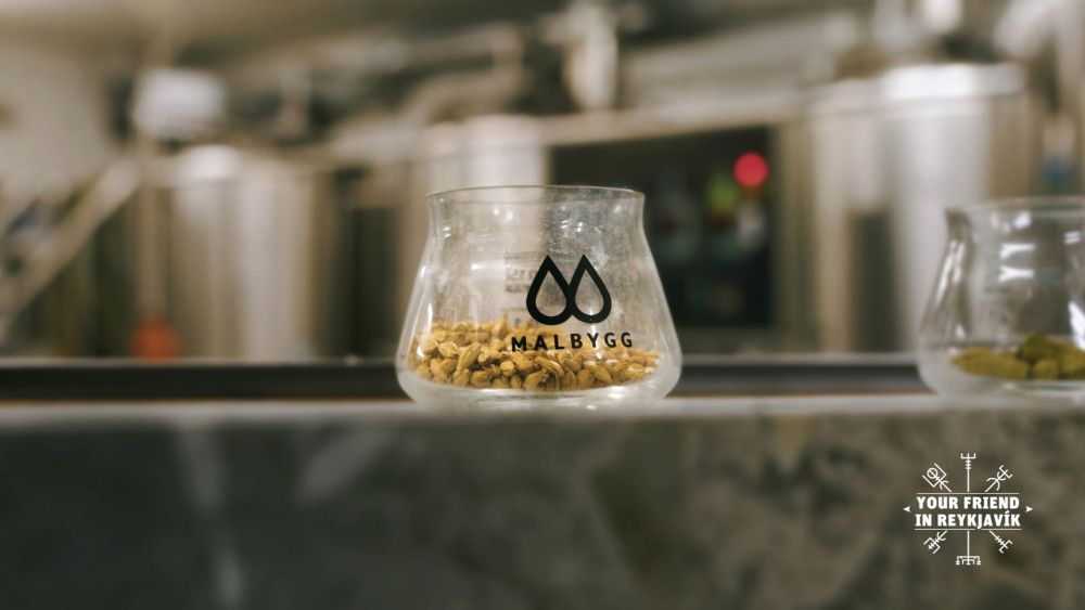 The Private Reykjavik Brewery & Beer Tasting Tour
