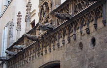 Spanish Trails7