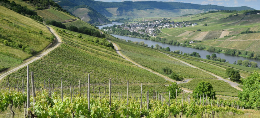 Private Luxembourg Full Day Guided Country Tour