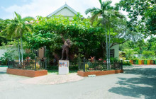 Fun Tours Jamaica2
