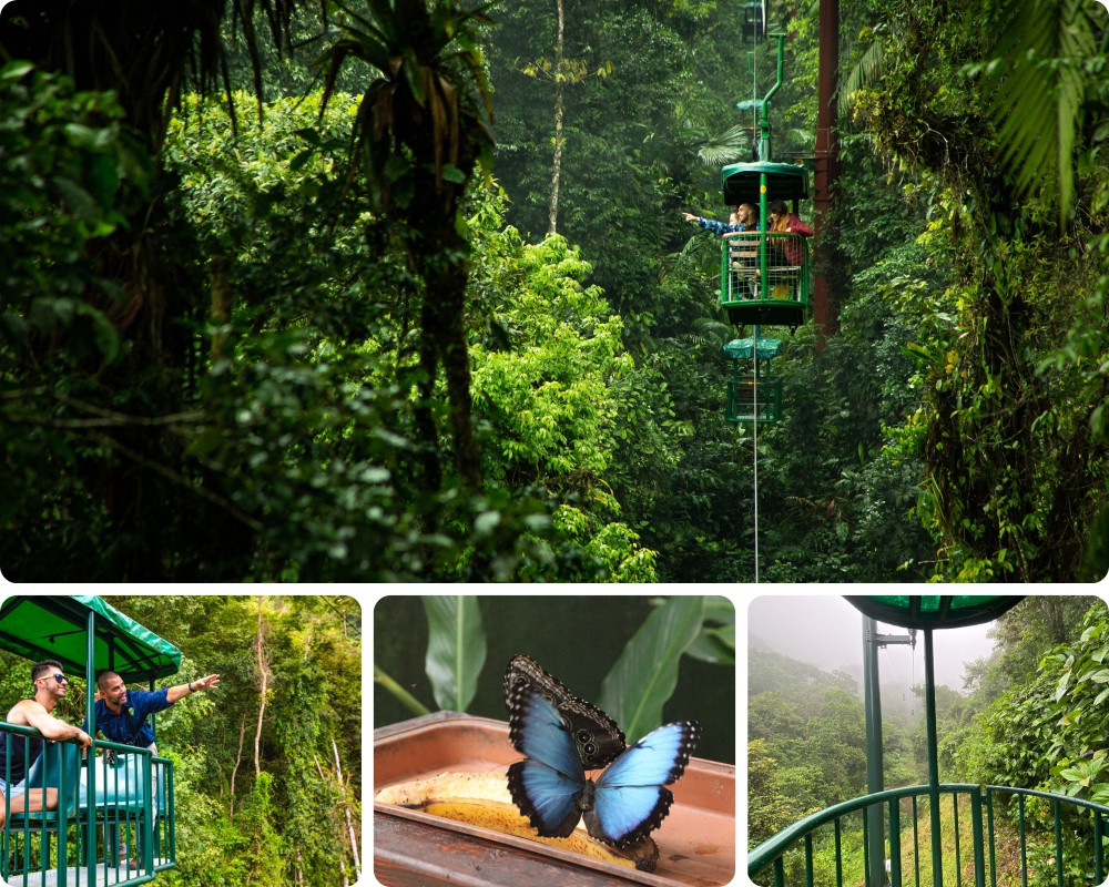 Aerial Tram Tour Rainforest Park Jacó
