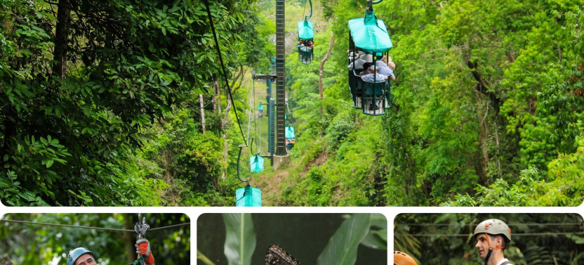 Aerial Tram and Zip Line Tour Rainforest Park Jacó