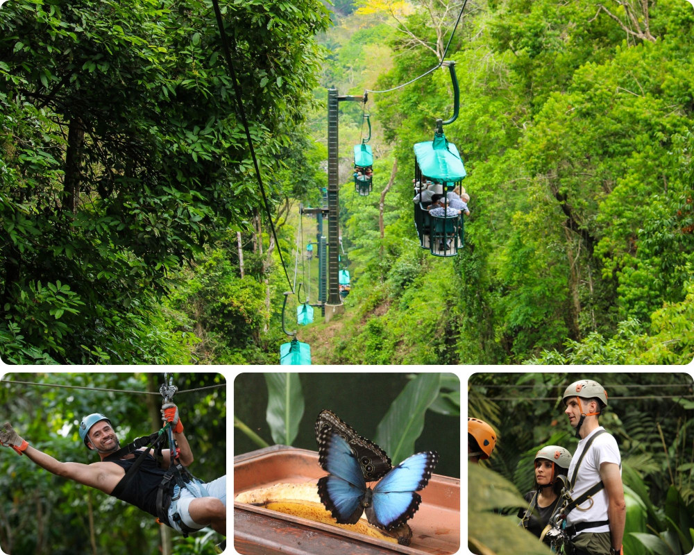 Aerial Tram and Zip Line Tour Rainforest Park Jacó