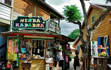 Fun Tours Jamaica3