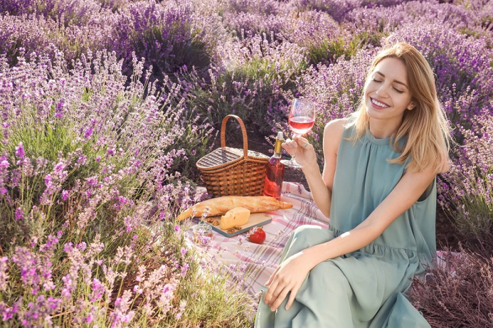 The Lavender of Provence Tour-Special Shore Excursion from Marseille Port
