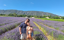 Provence Amazing Tours8