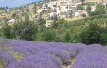 Provence Amazing Tours8