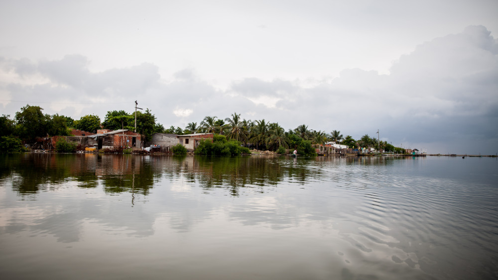 Into the Mangroves: Canoe Tour with Local Fishermen near Cartagena