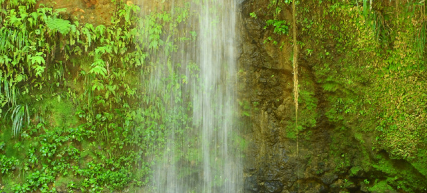 Tout Bagay Catamaran Tour with Waterfall + Pitons + Mud Bath