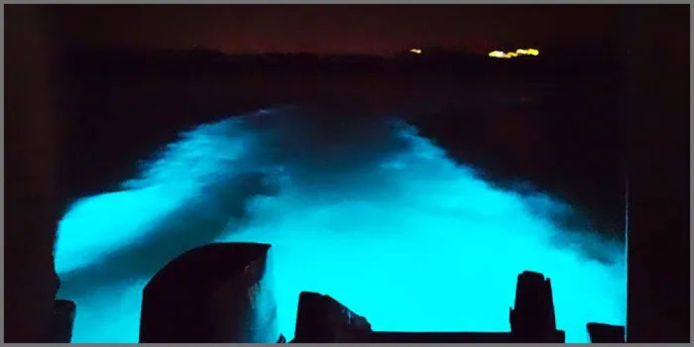 Luminous Lagoon