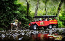 Sigatoka River Safari3
