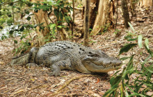 Down Under Tours1