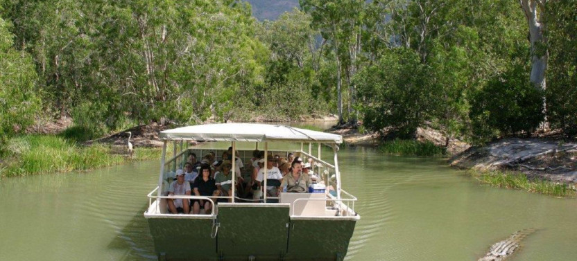 Hartley's Crocodile Adventures (Half Day) from Port Douglas
