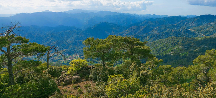 Scenic Troodos Mountains Tour with Wine Tasting from Paphos