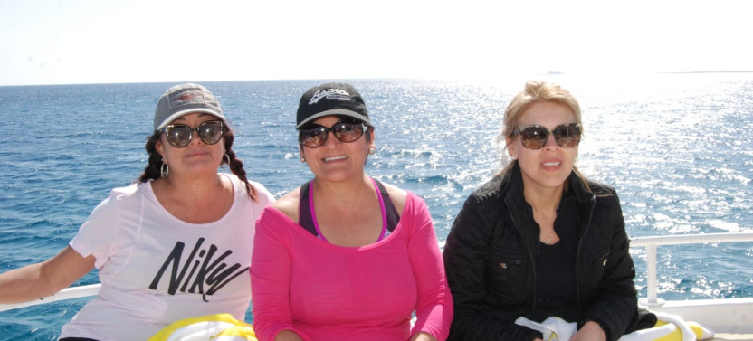 From Luxor: Snorkeling Day Tour at Utopia Island in Safaga